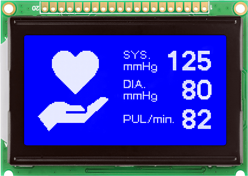 Graphic LCD Display Module